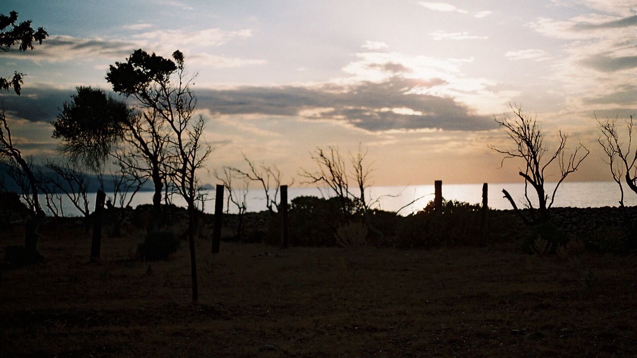 Photo of Others in Caronia