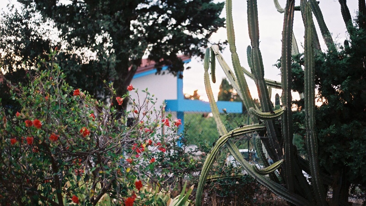 Photo of Outdoor in Caronia