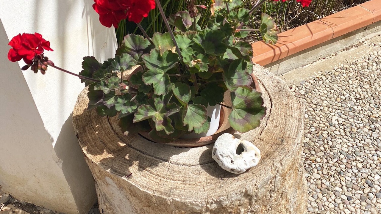 Photo of Outdoor in Tonnara di Bonagia