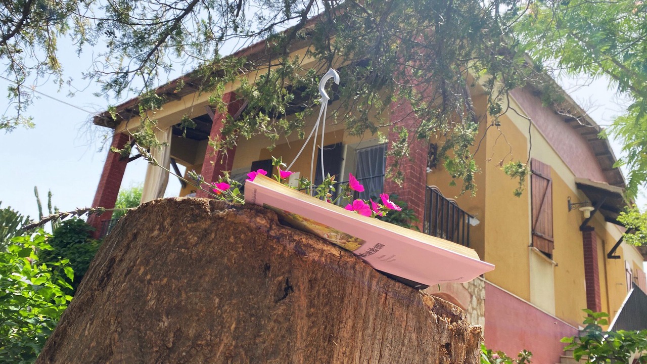 Photo of Outdoor in Tonnara di Bonagia