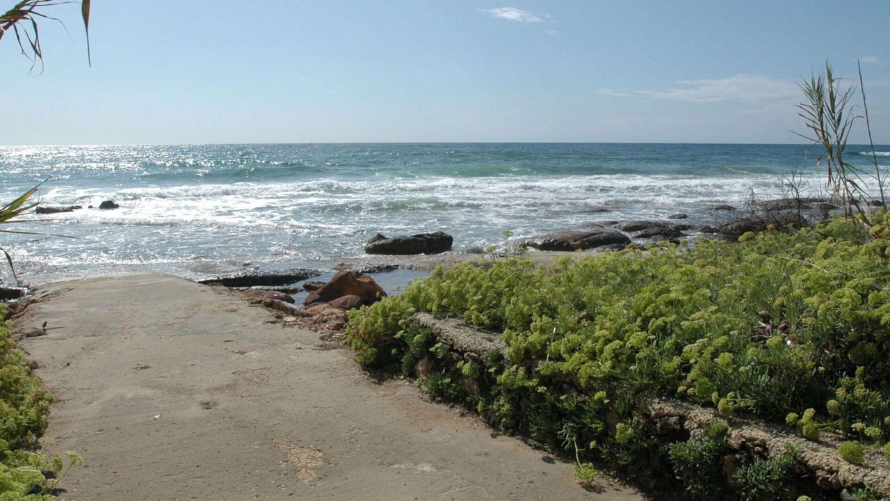Photo of Others in Punta Milocca