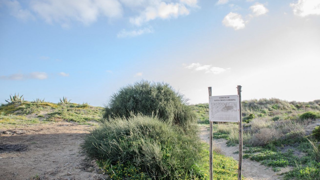 Photo of Others in Caucana-finaiti-casuzze-finaiti Nord