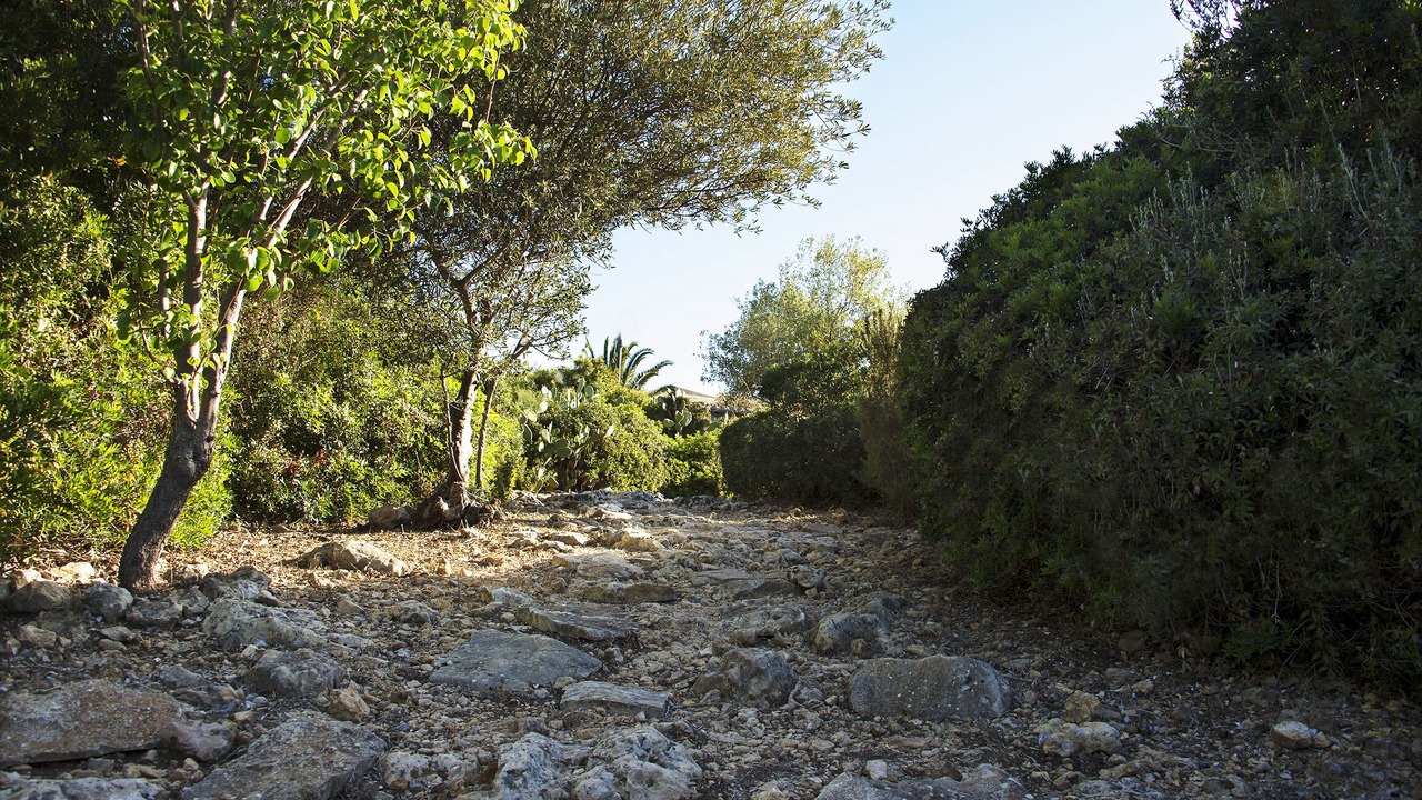 Photo of Outdoor in Noto