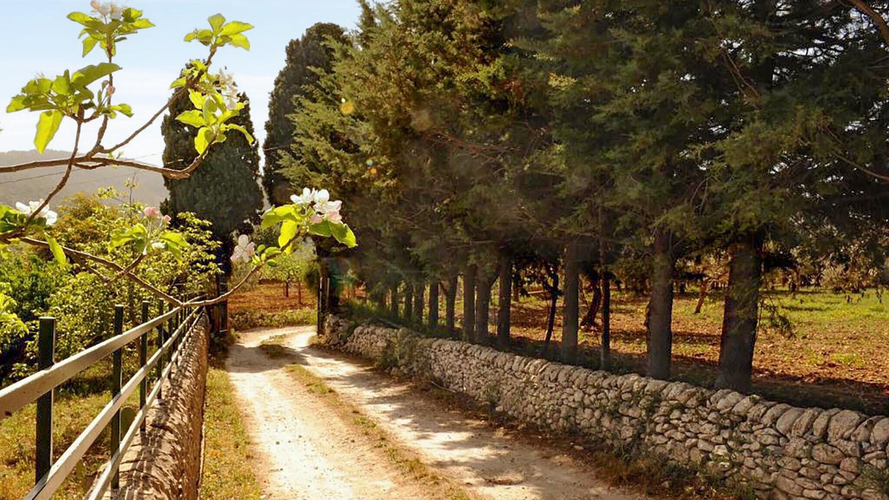 Photo of Others in Chiaramonte Gulfi