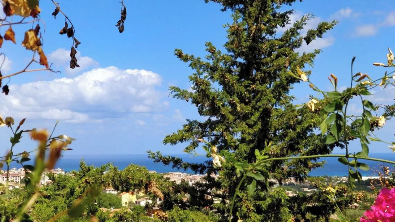 Photo of Others in Castellammare del Golfo