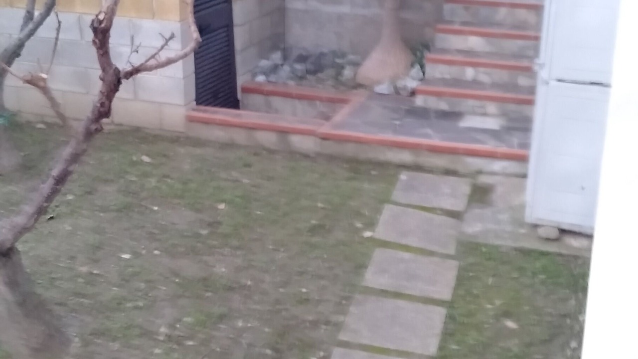 Photo of Outdoor in Furnari