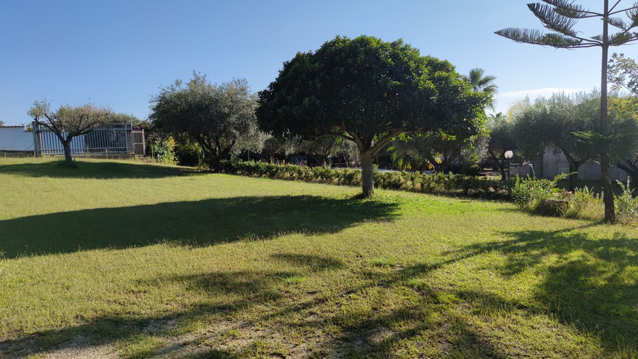 Photo of Outdoor in Santa Maria