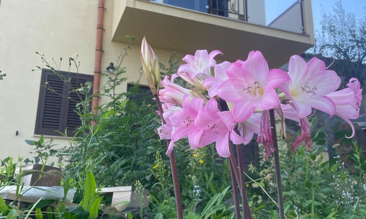 Photo of Outdoor in Santo Stefano di Camastra