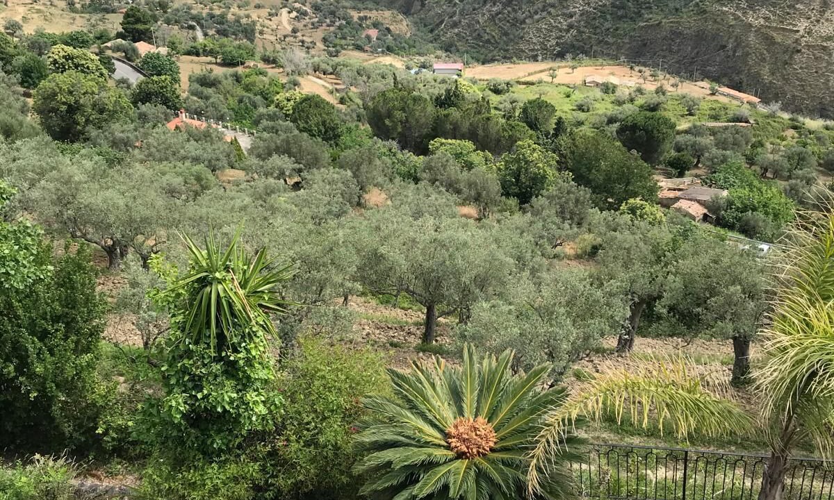 Photo of Others in Santo Stefano di Camastra