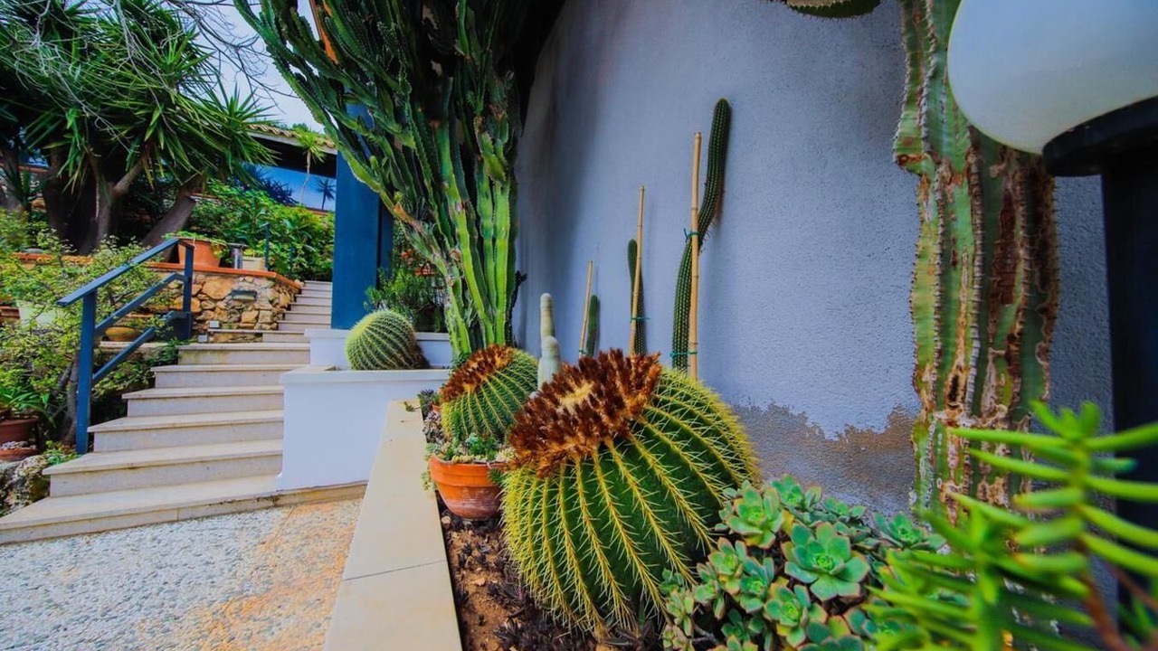 Photo of Outdoor in Palermo