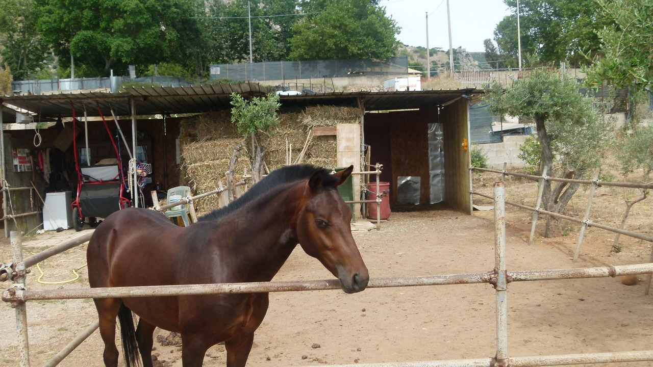 Photo of Outdoor in Aspra