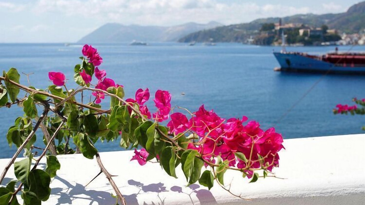Photo of Others in Lipari
