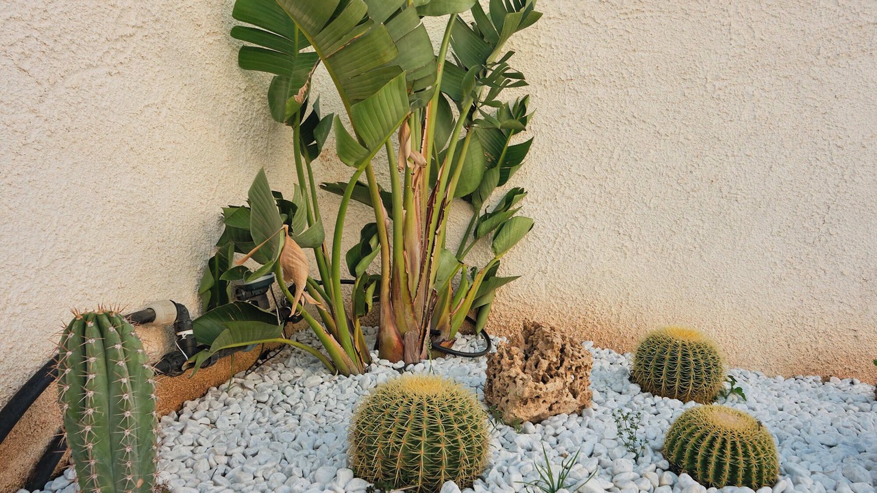 Photo of Outdoor in Marsala