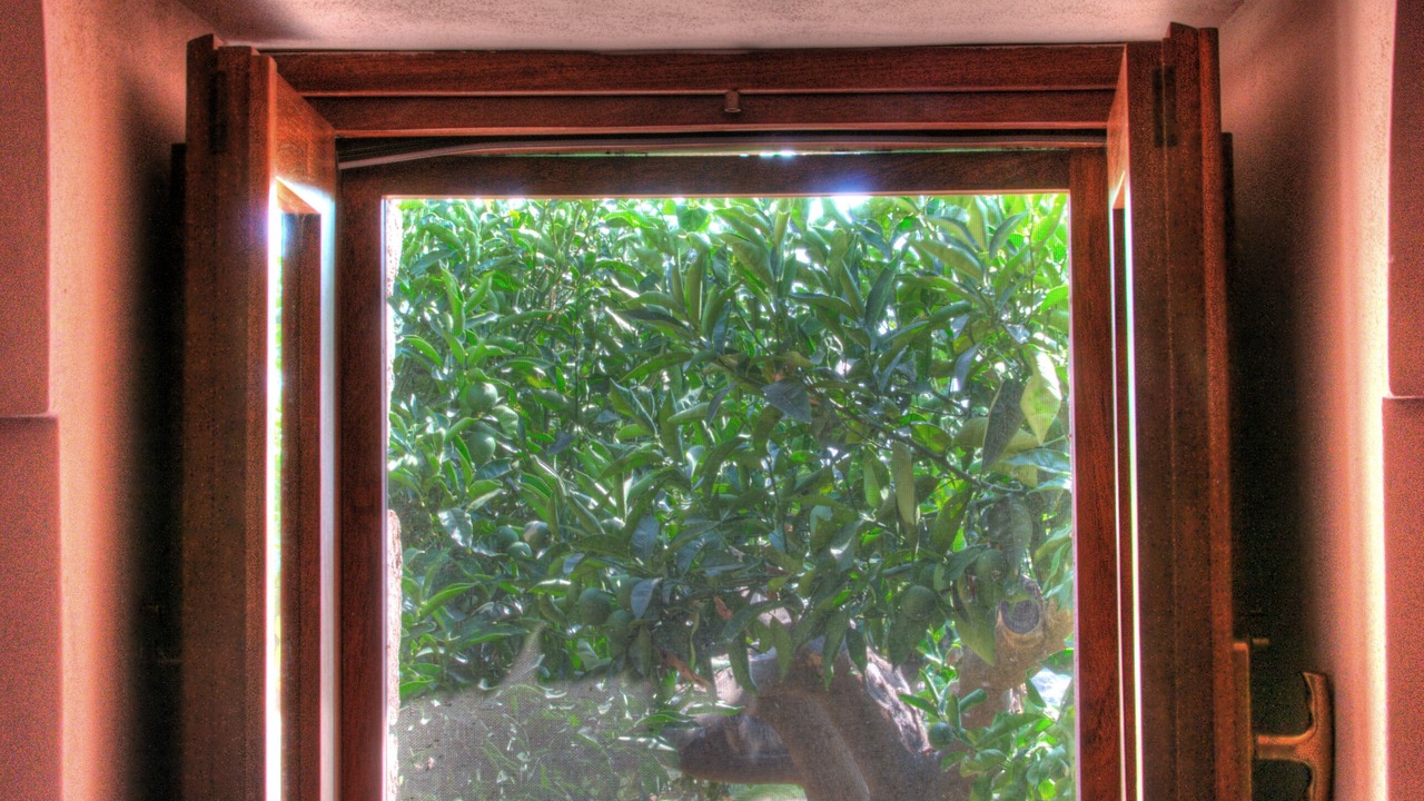 Photo of Others in Pantelleria