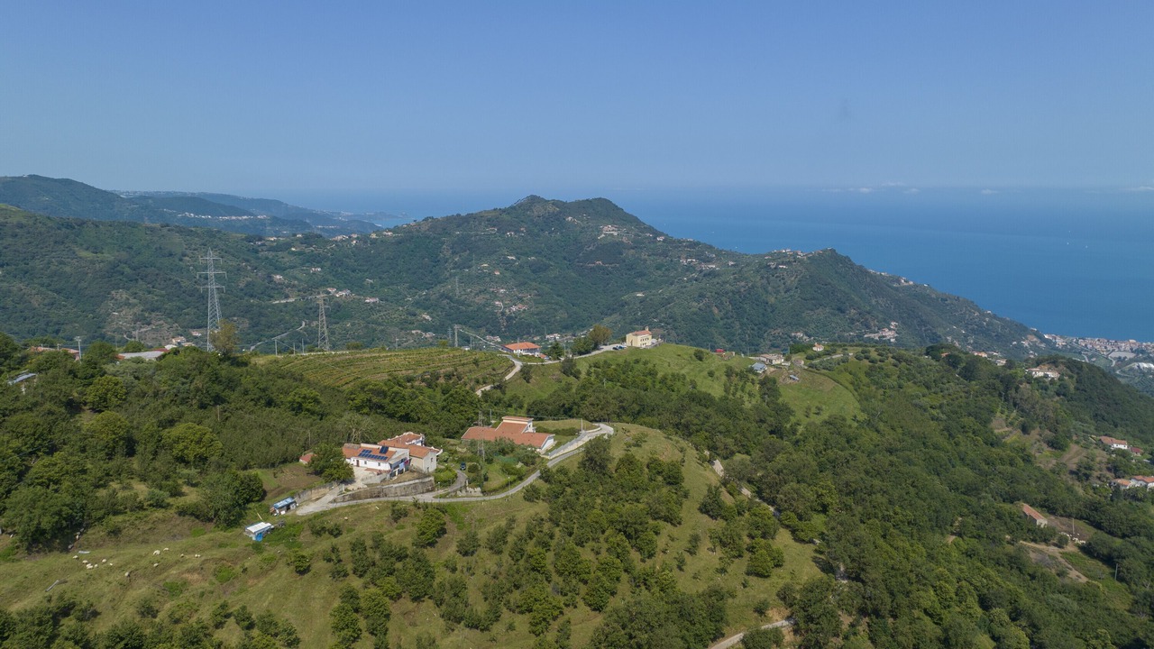 Photo of Outdoor in Gioiosa Marea