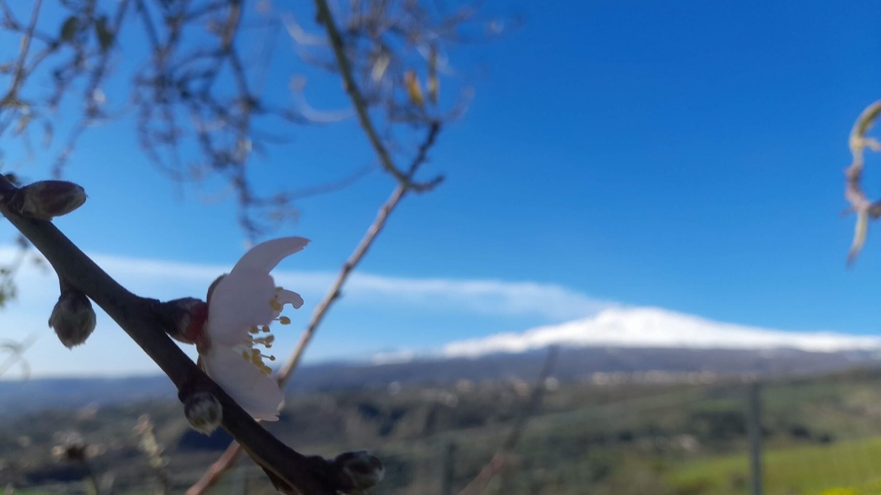 Photo of Outdoor in Calatabiano