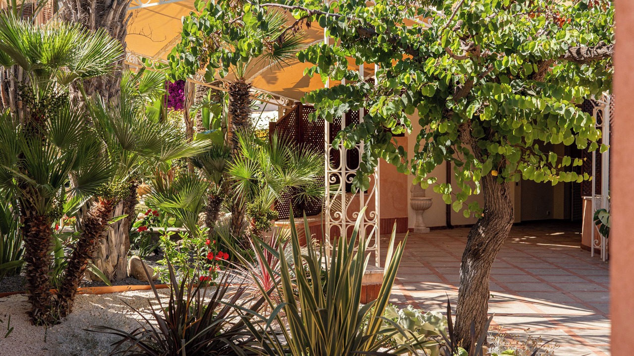 Photo of Outdoor in San Leone