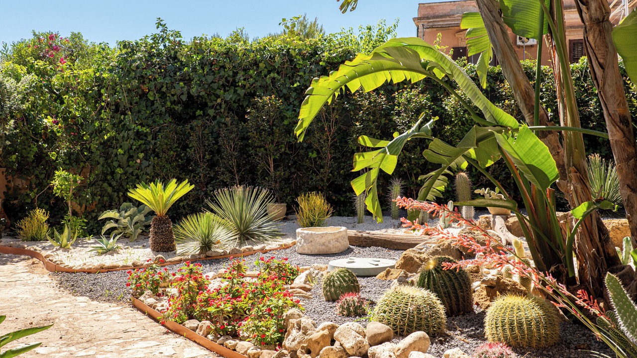 Photo of Outdoor in San Leone