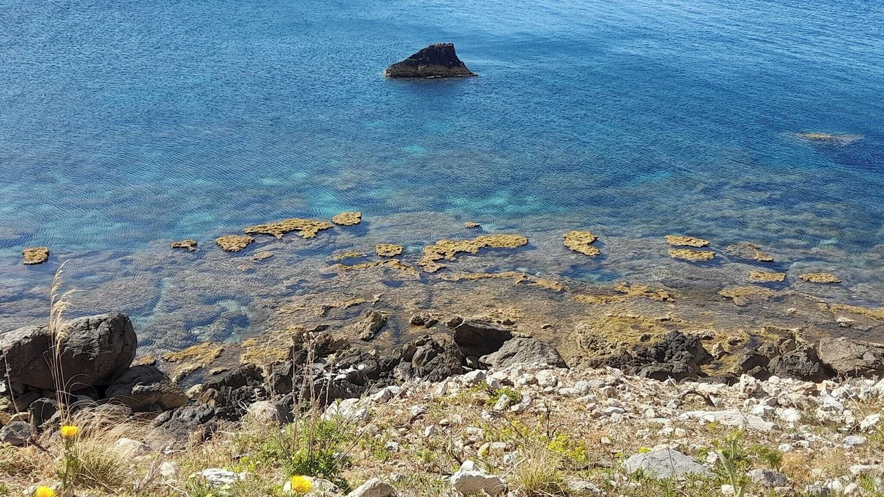 Photo of Others in Sferracavallo