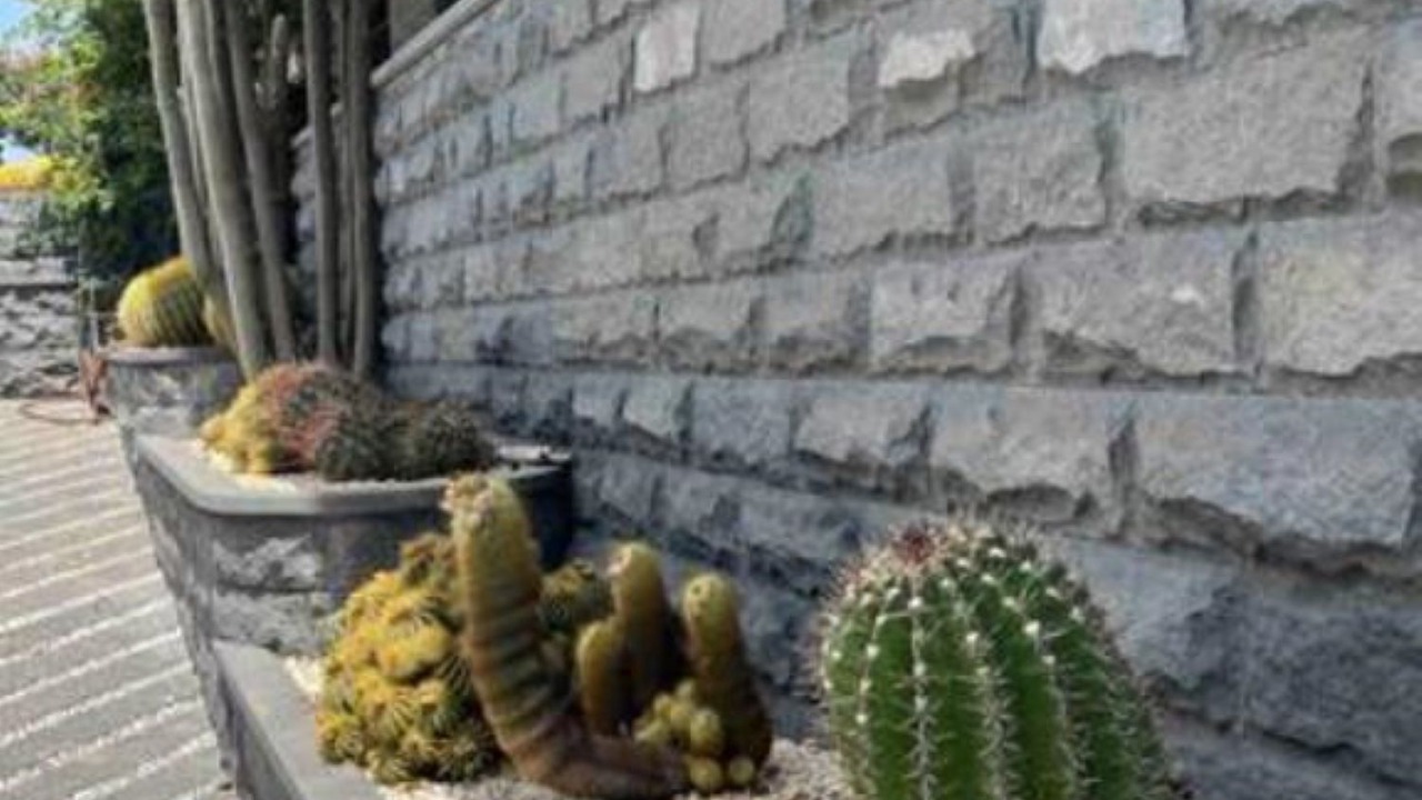 Photo of Outdoor in Aci Sant'Antonio