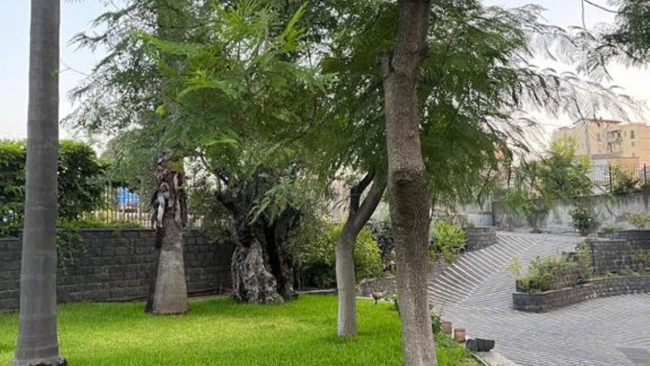 Photo of Outdoor in Aci Sant'Antonio