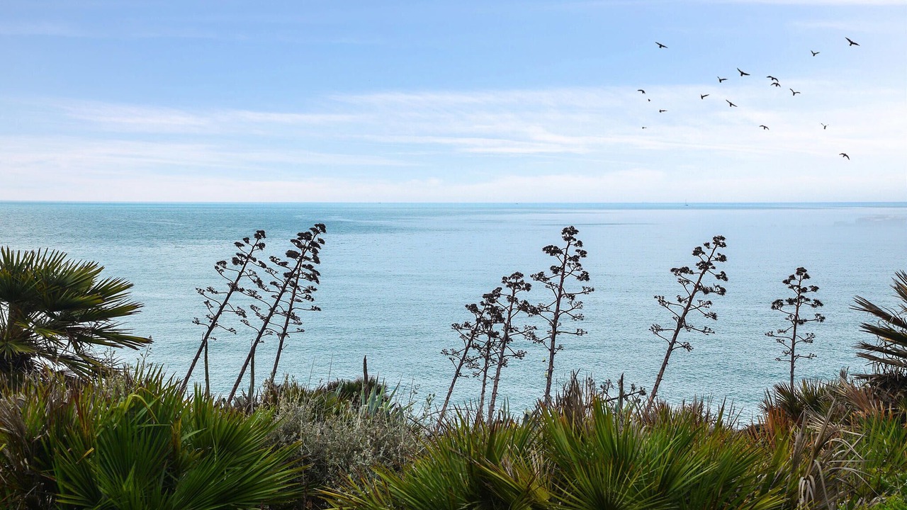 Photo of Others in Punta Secca