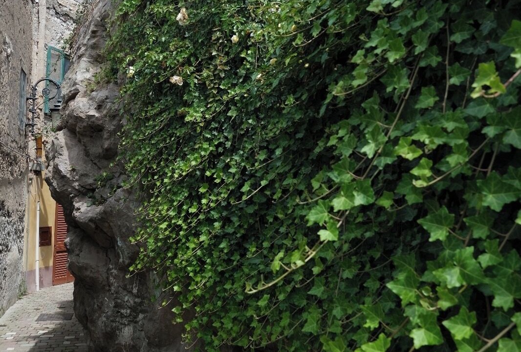 Photo of Outdoor in Lipari Historic Centre