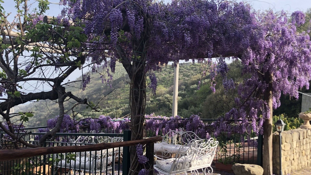 Photo of Outdoor in Naso
