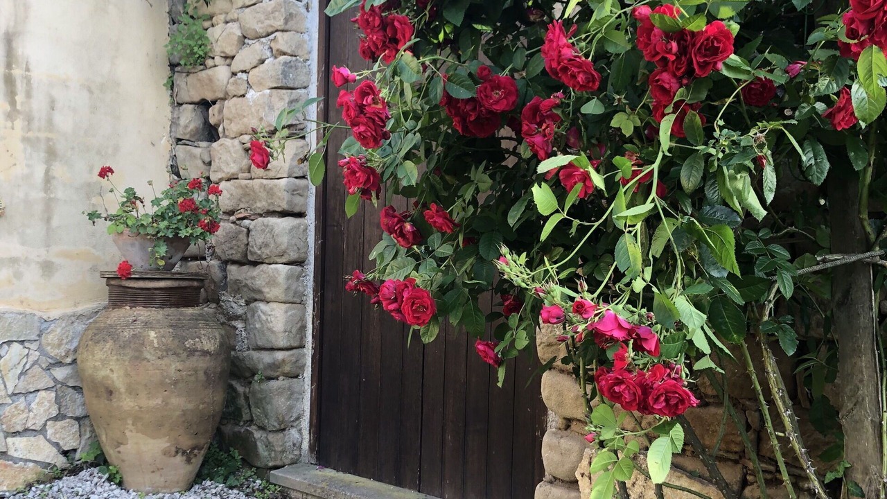 Photo of Outdoor in Ficarra