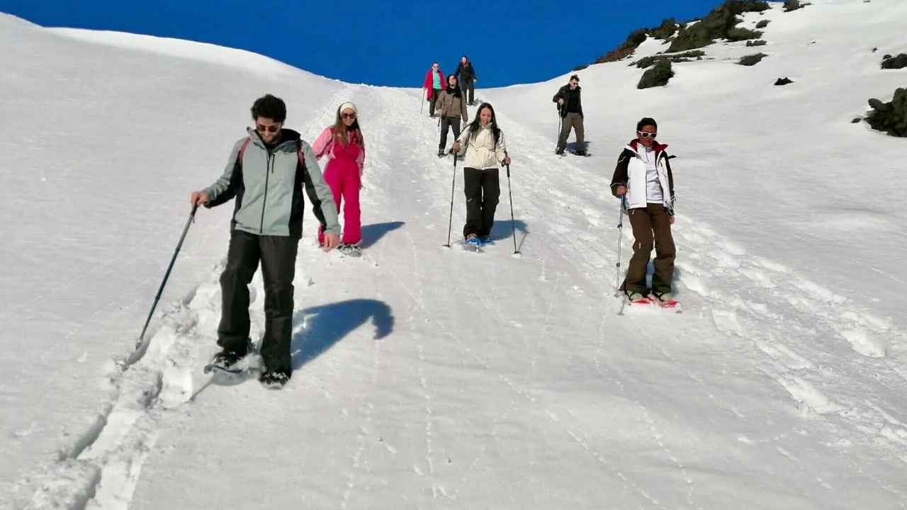 Photo of Others in Letojanni
