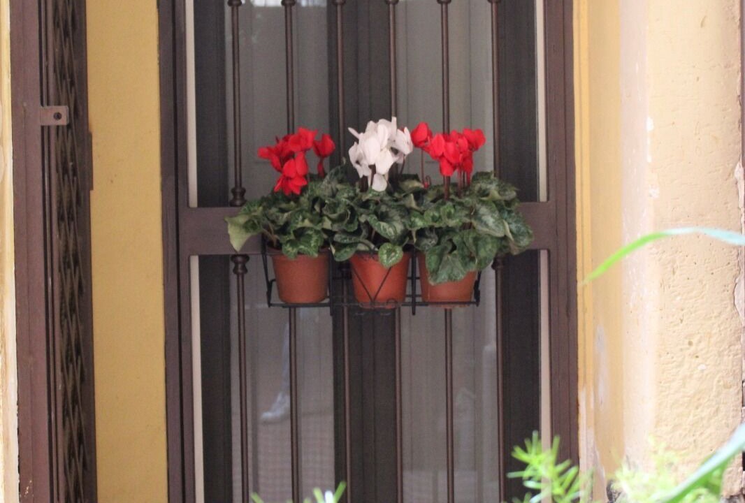 Photo of Outdoor in Borgo-Sanzio