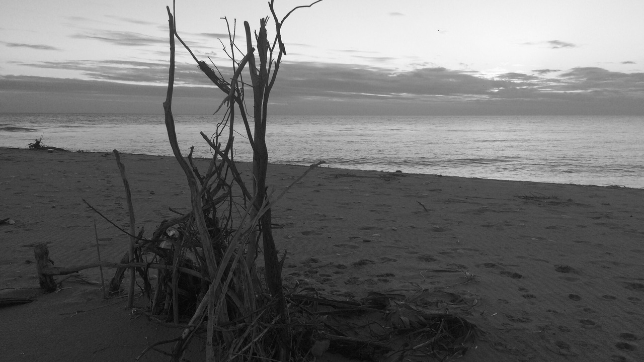 Photo of Others in Cattolica Eraclea