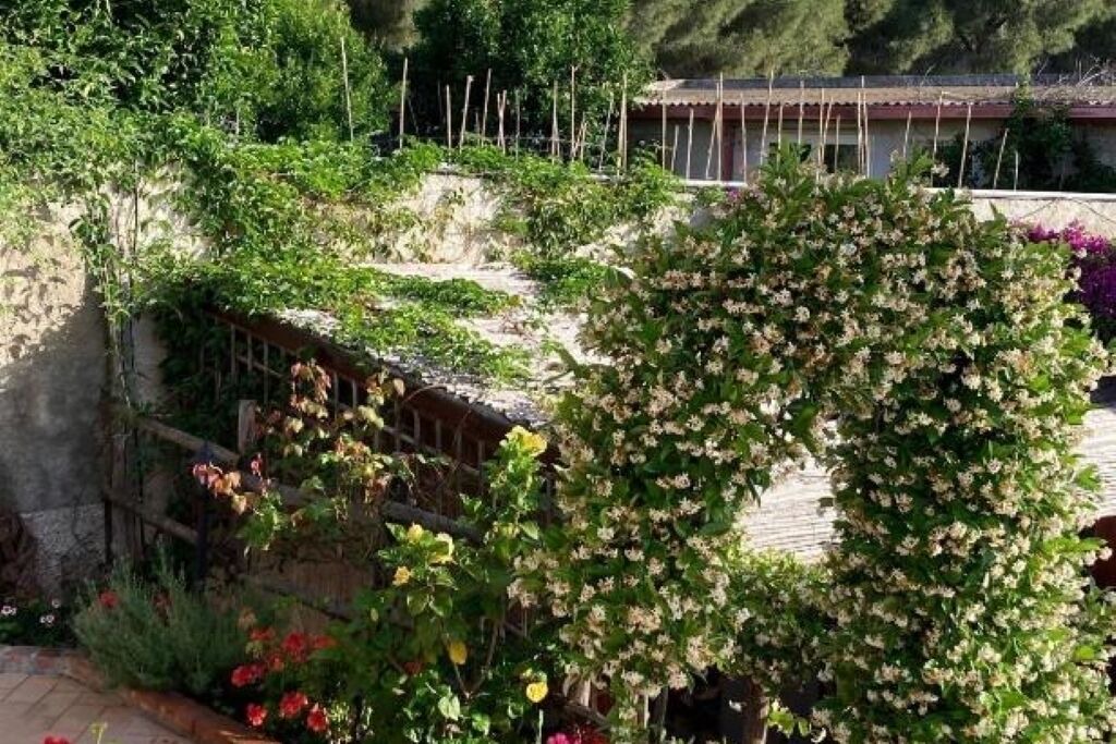 Photo of Outdoor in Milazzo