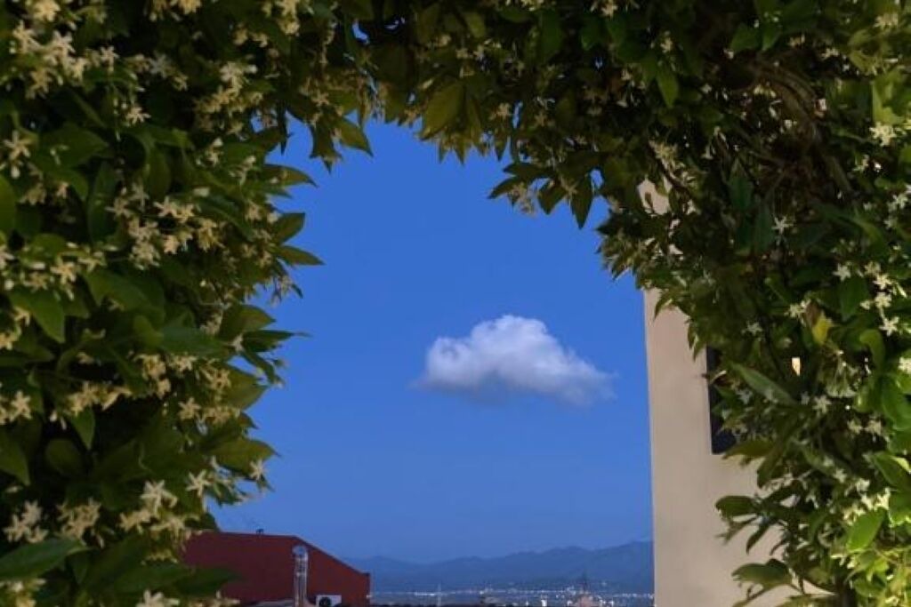 Photo of Others in Milazzo