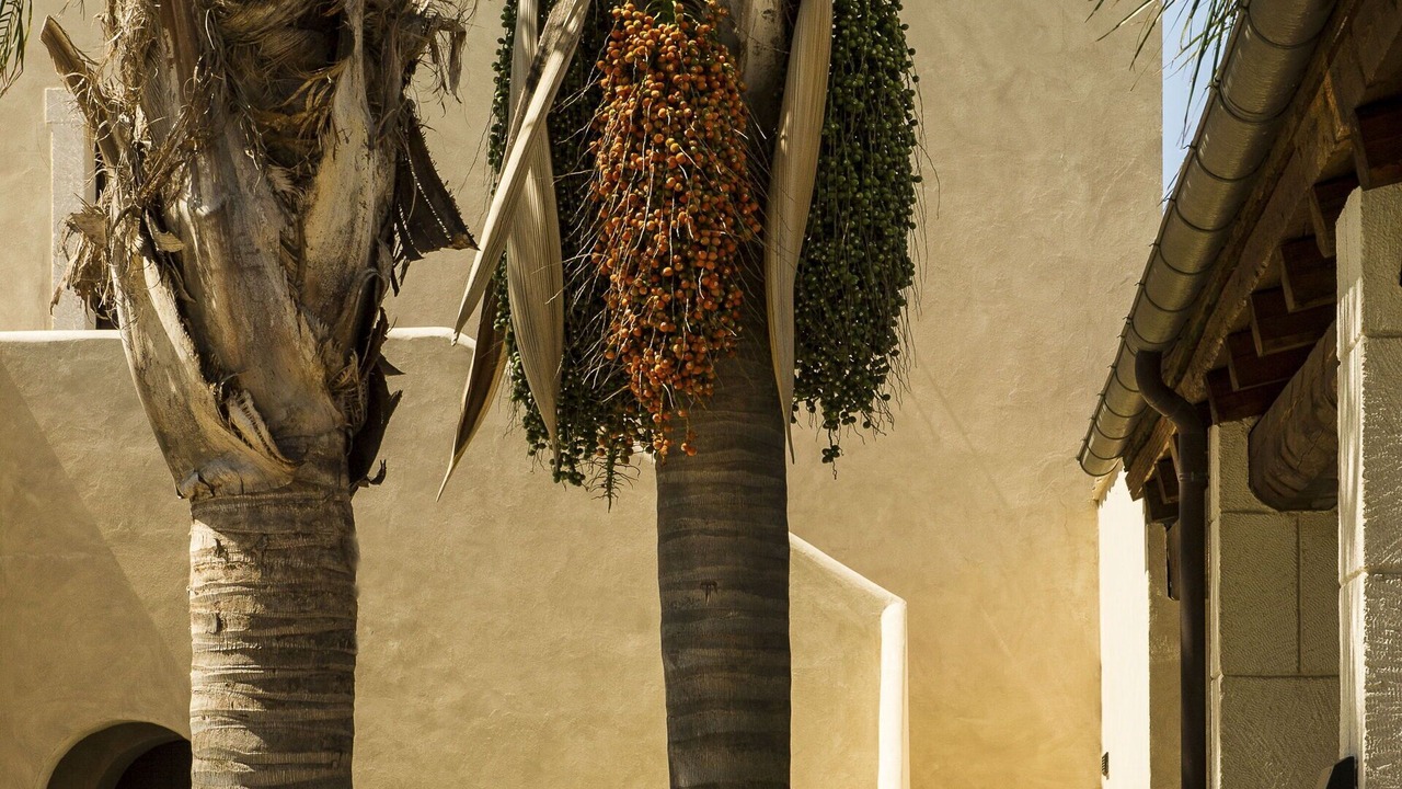 Photo of Patio Balcony in Palma di Montechiaro