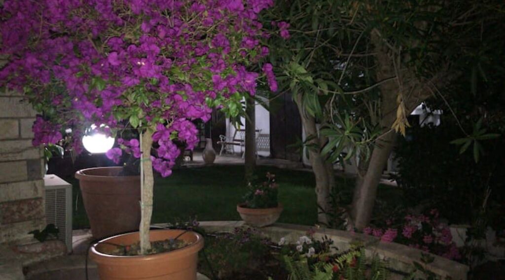 Photo of Outdoor in Caltanissetta