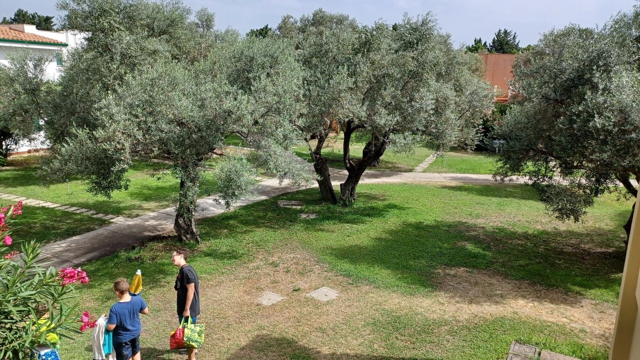 Photo of Outdoor in Isca Marina