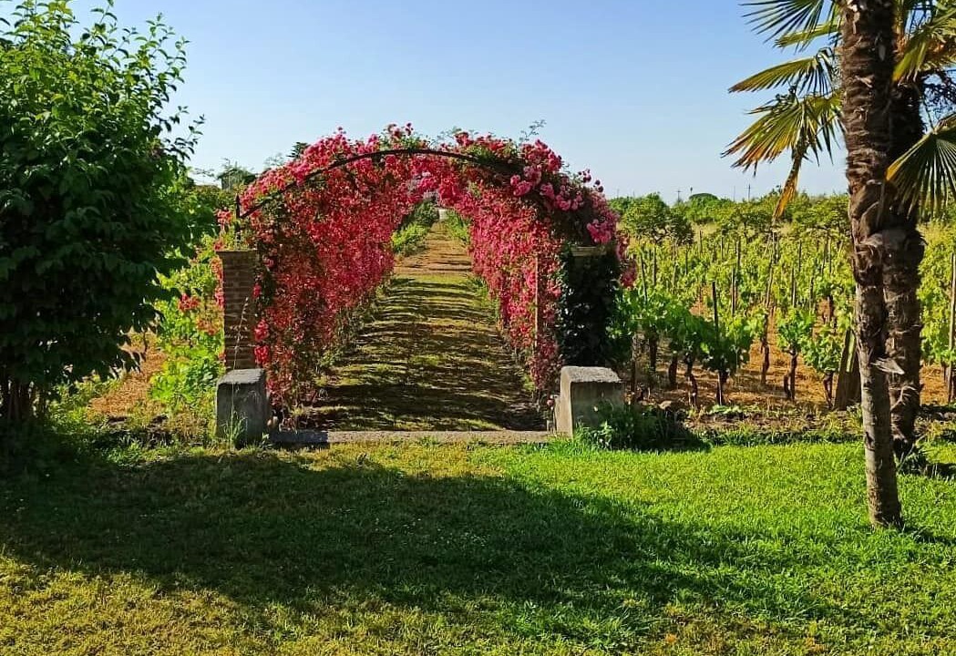 Photo of Outdoor in Gravina di Catania