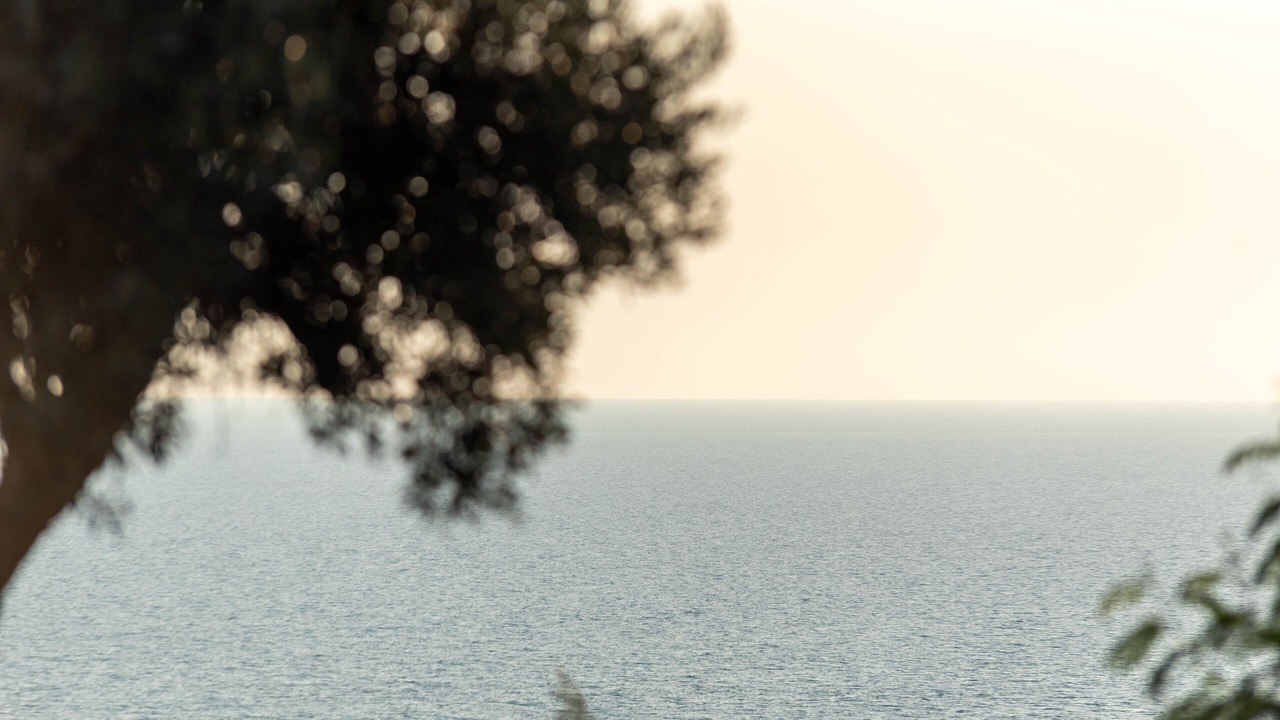 Photo of Others in Borgo Bonsignore
