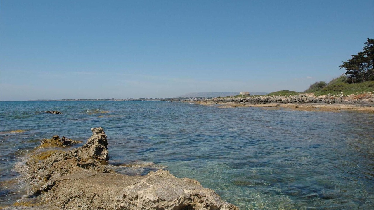 Photo of Others in Punta Milocca