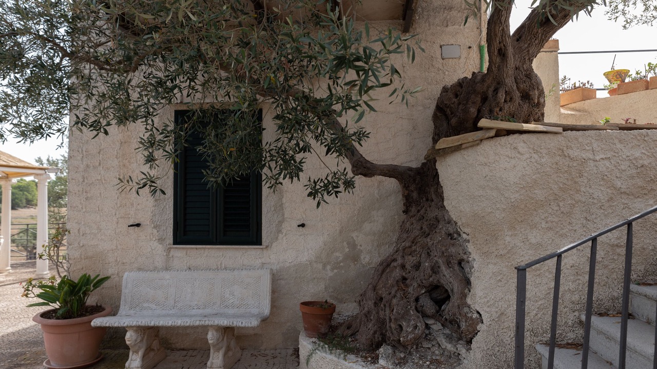 Photo of Patio Balcony in Licata
