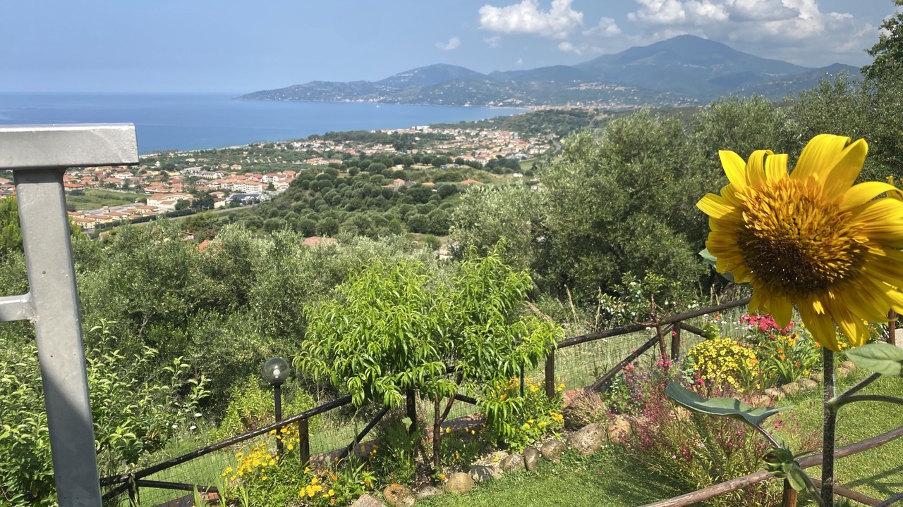 Photo of Outdoor in Marina di Ascea