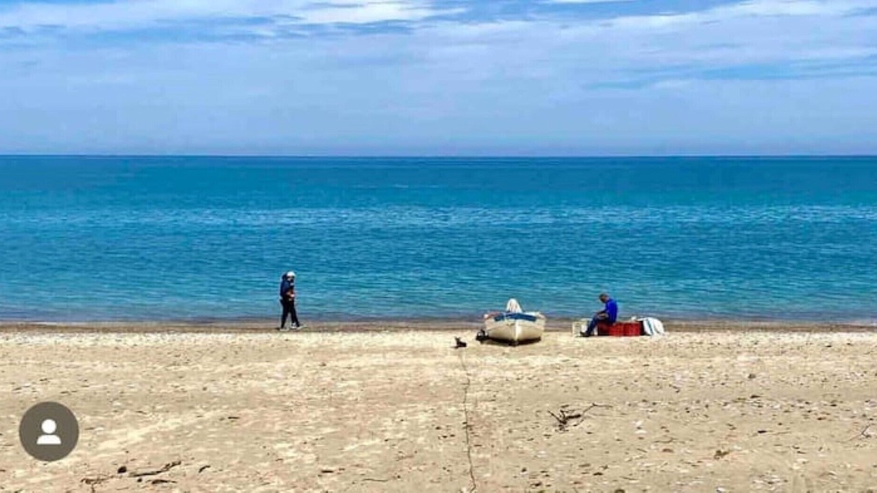 Photo of Others in Solfarelli