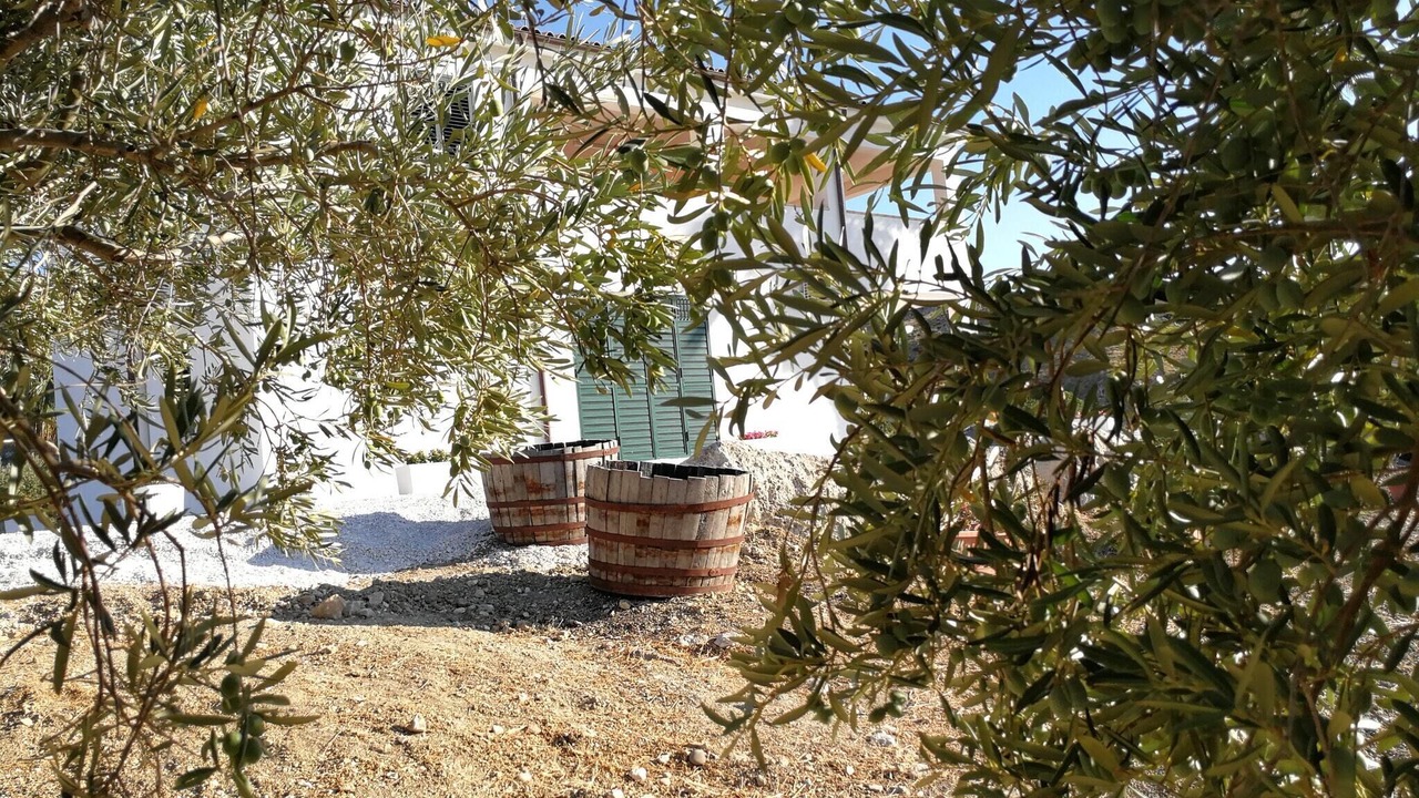 Photo of Outdoor in Montallegro
