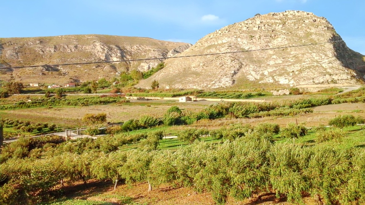 Photo of Others in Montallegro