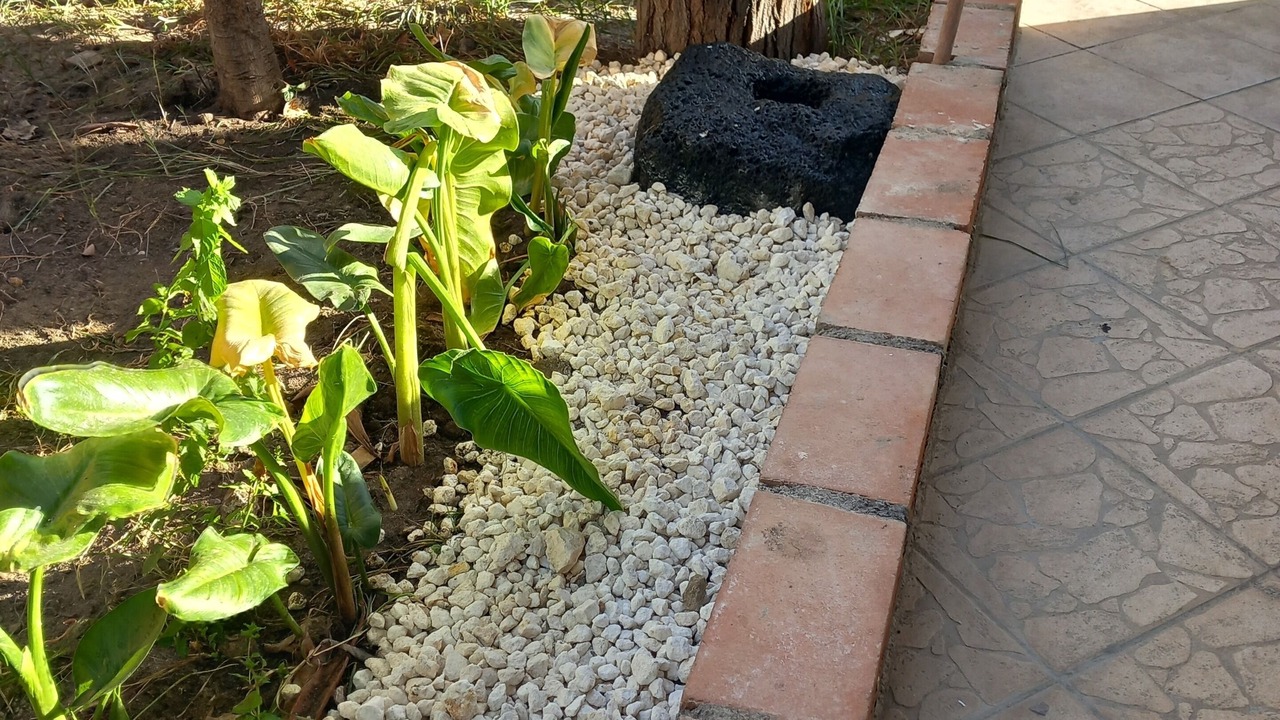 Photo of Outdoor in Vaccarizzo