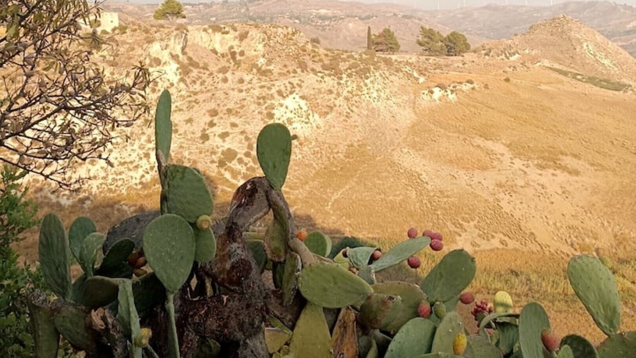 Photo of Outdoor in Favara