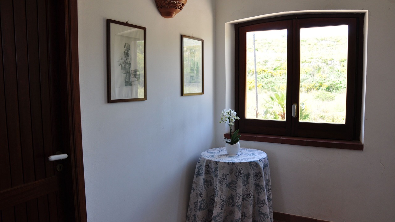 Photo of Others in Scopello