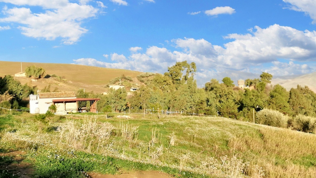 Photo of Others in Lercara Friddi