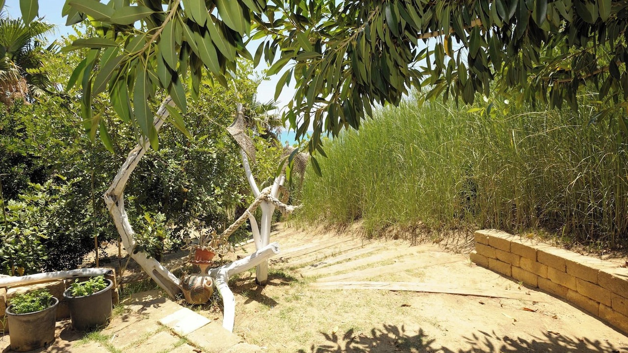 Photo of Outdoor in Pergole